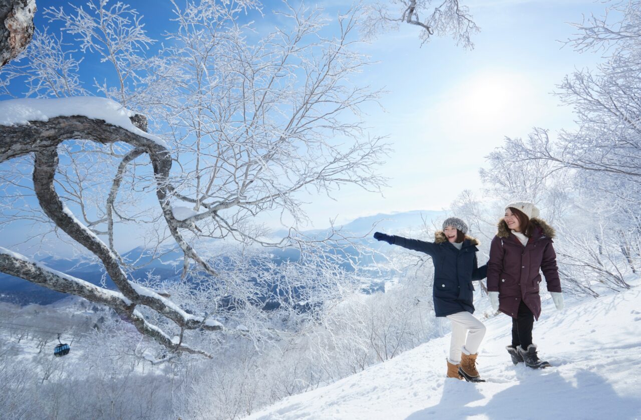 ▲可以飛到北海道在粉雪天堂散步已是一樂也。